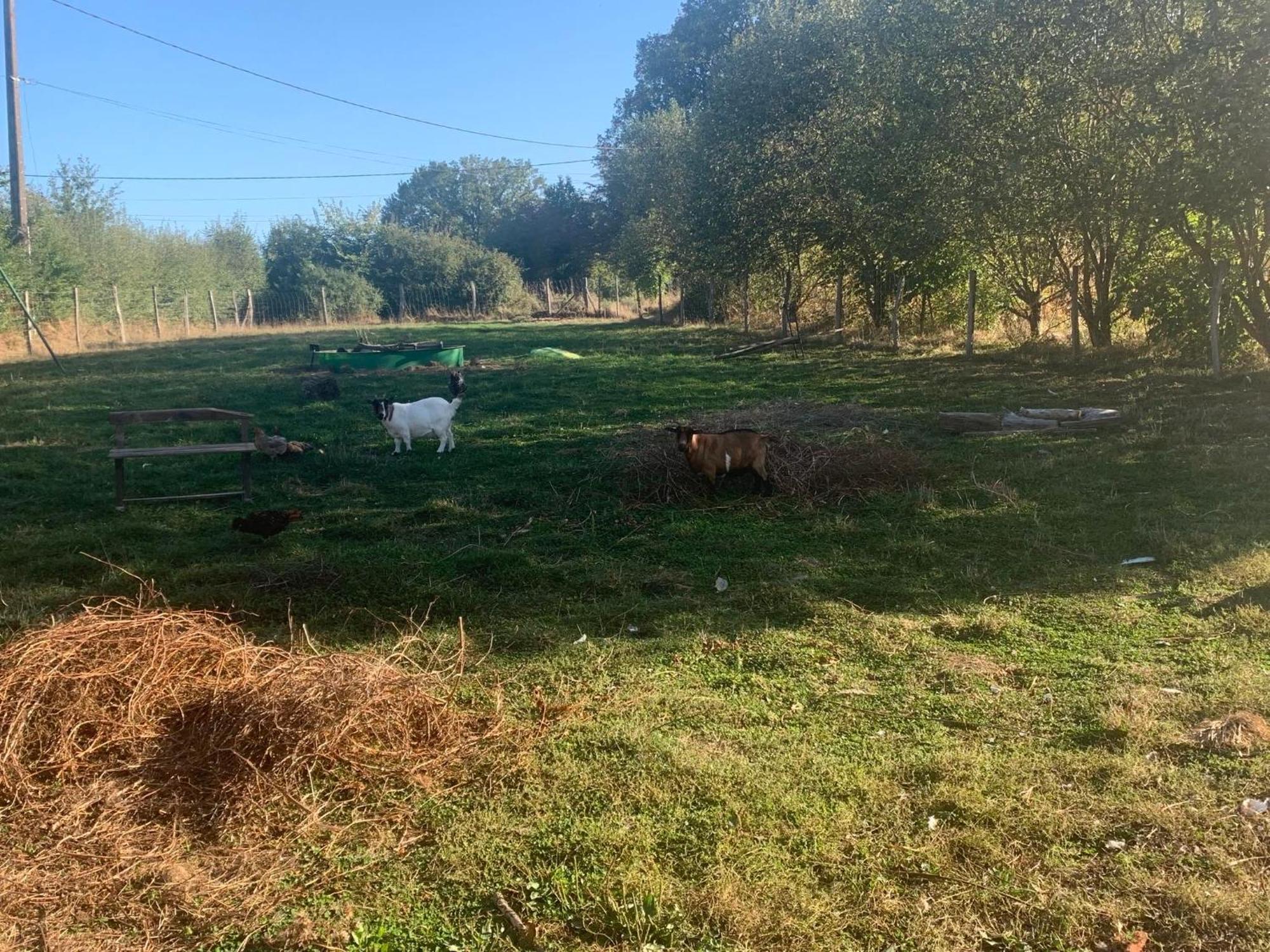 Apartment Independant Le Poulailler Proche Guedelon